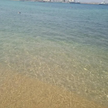 Anemones Sea View شقة *