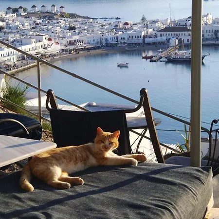 Appartamento Anemones Sea View *