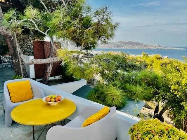 Anemones Sea View