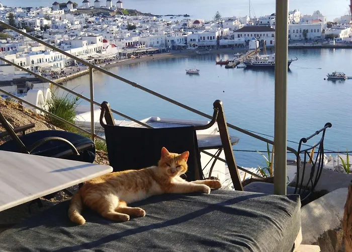 Lägenhet Anemones Sea View *